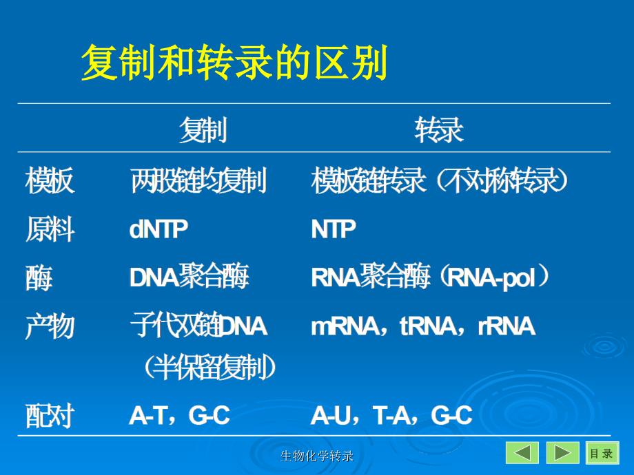 生物化学转录课件_第4页