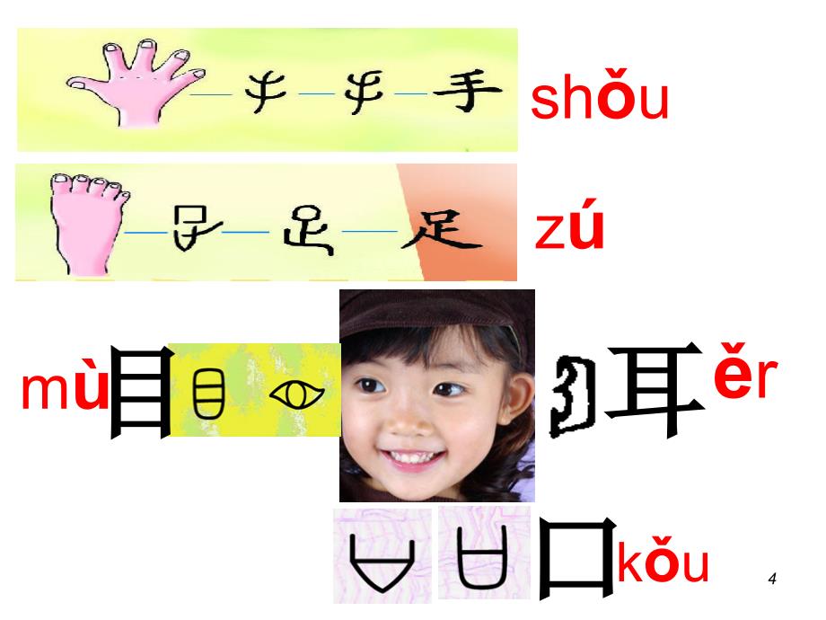 观察人体识汉字_第4页