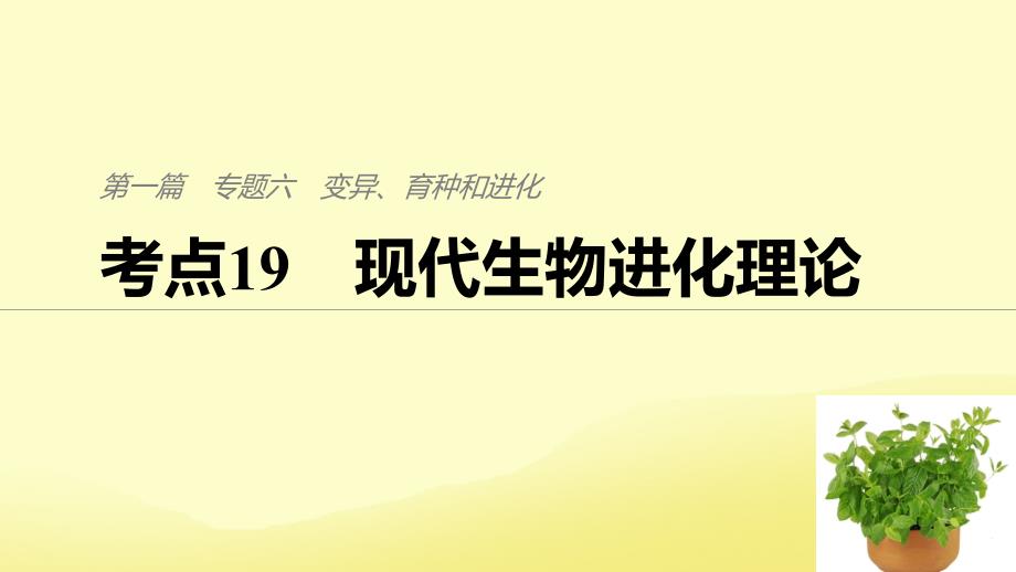 （通用）高考生物二轮复习 专题六 变异、育种和进化 考点19 现代生物进化理论课件_第1页