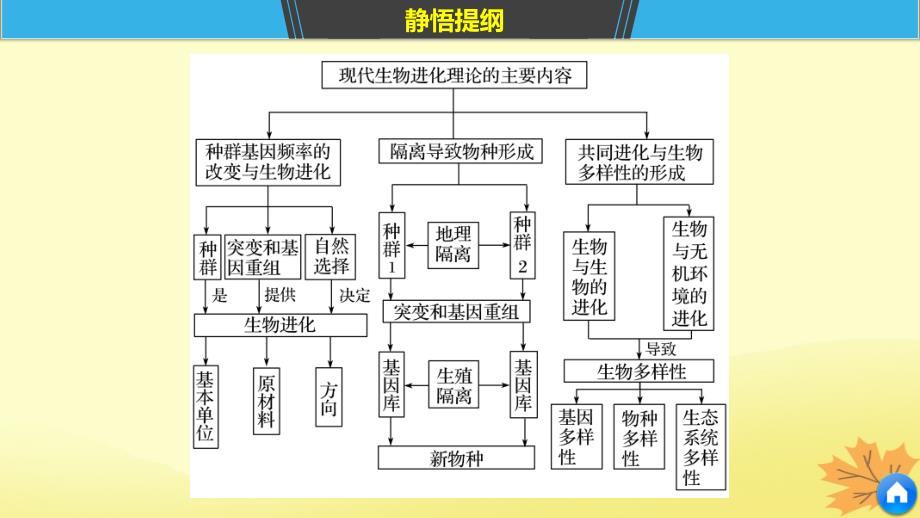 （通用）高考生物二轮复习 专题六 变异、育种和进化 考点19 现代生物进化理论课件_第3页