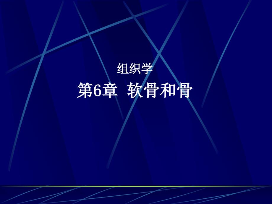 组织学：软骨和骨_第1页