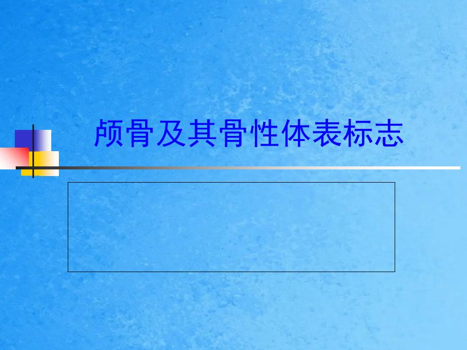 项目1颅骨及其骨性体表标志ppt课件_第1页