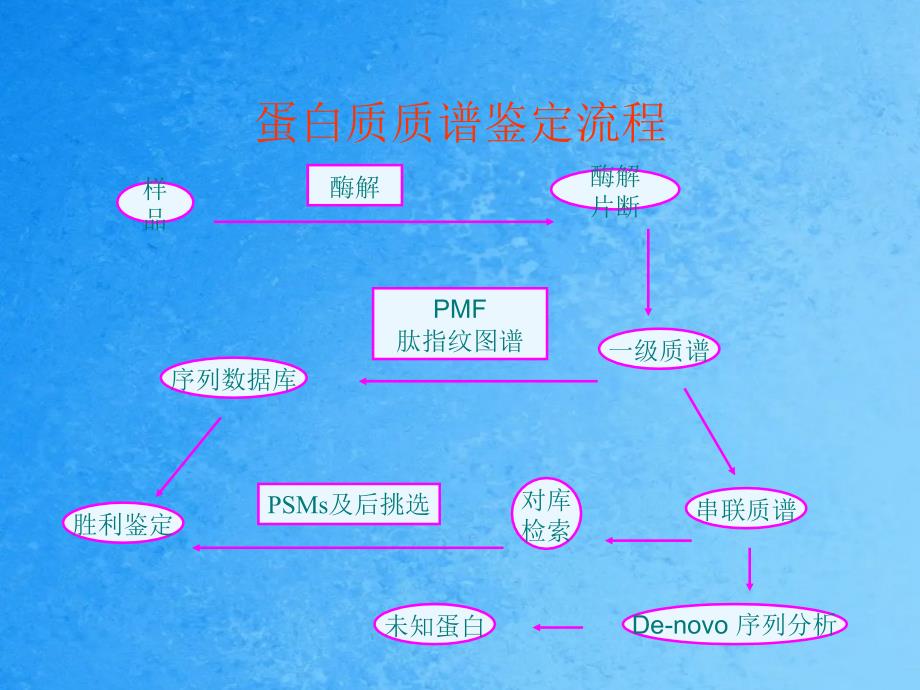 蛋白质组中心质谱数据分析ppt课件_第2页