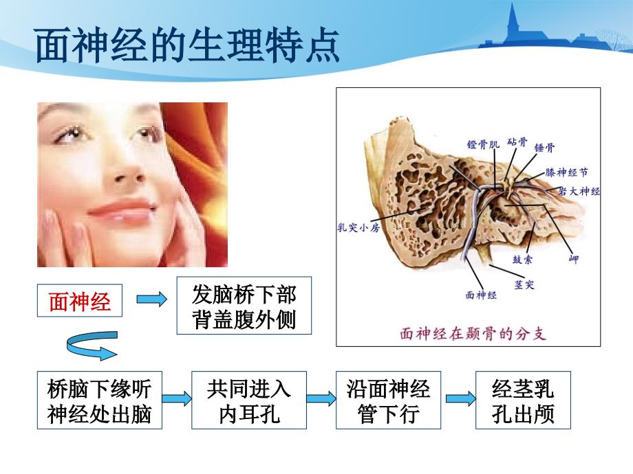 面神经炎中医治疗PPT课件_第3页