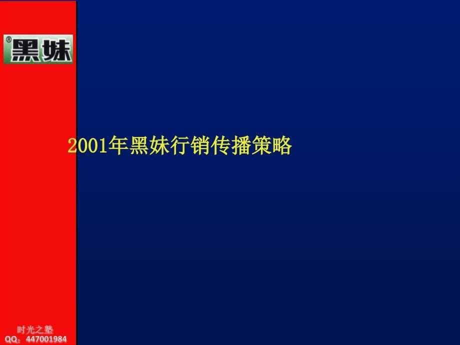 黑妹牙膏广告计划提案_第5页