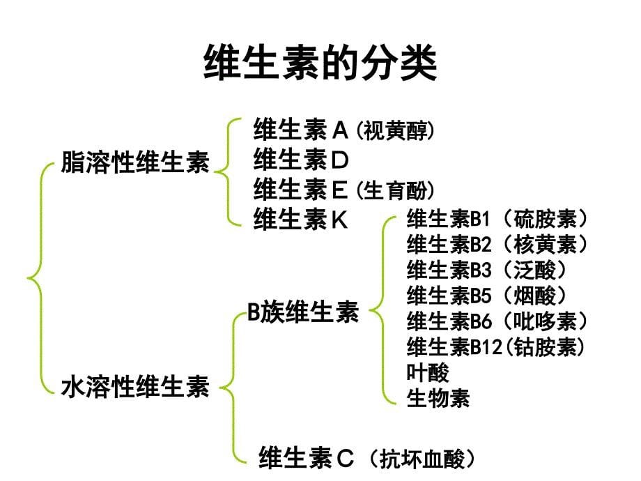 《脂溶性维生素》PPT课件_第5页