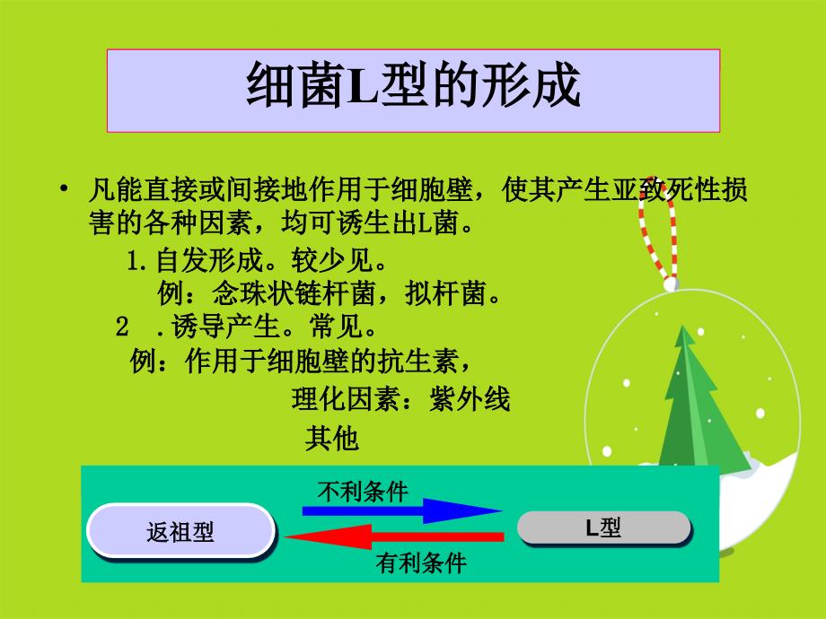 细菌L型及其临床意义_第3页