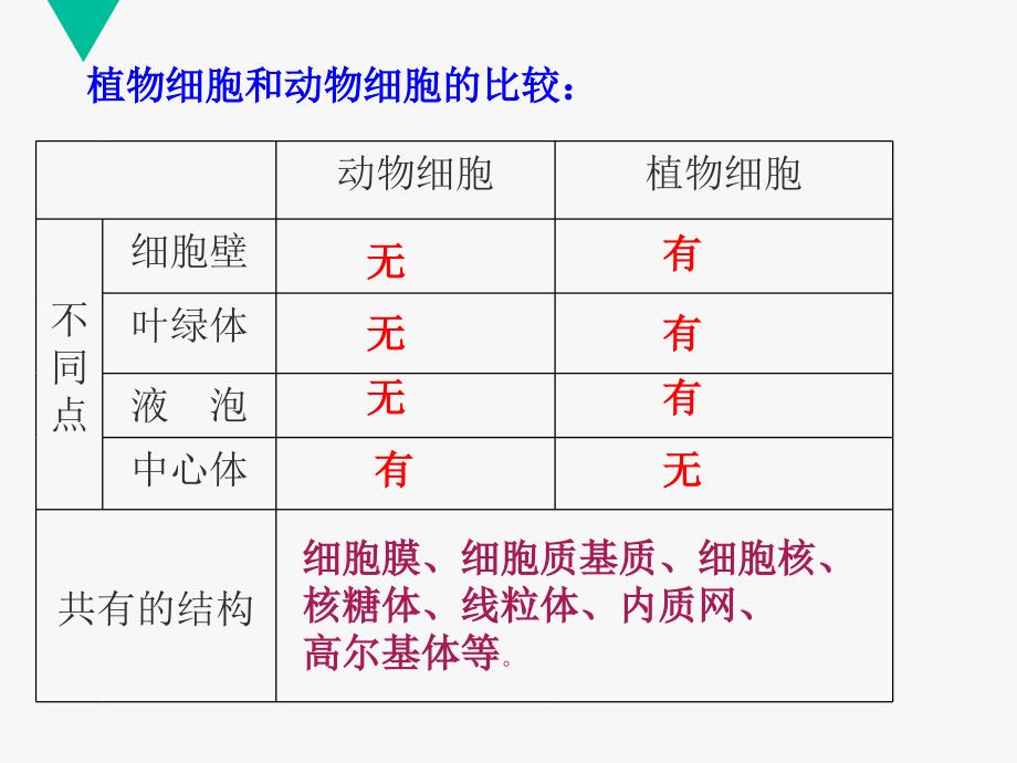 细胞器—细胞内的分工合作_第4页