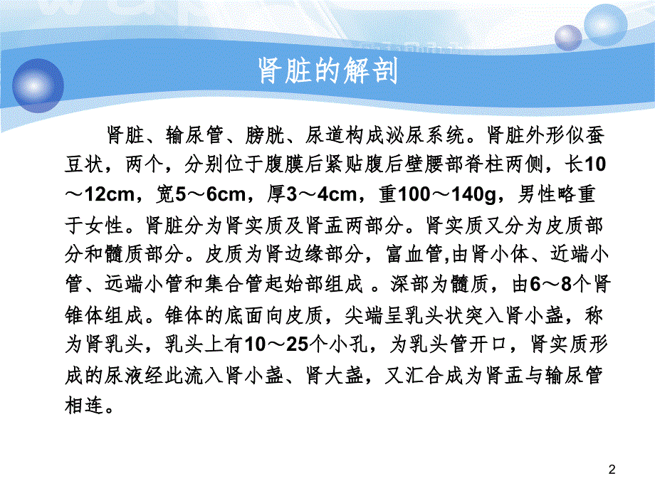 肾性水肿PPT演示课件_第2页