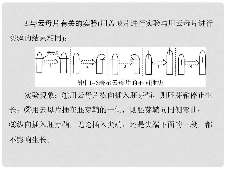 高考生物一轮总复习 第3章 章末知识提升课件（必修3）_第5页