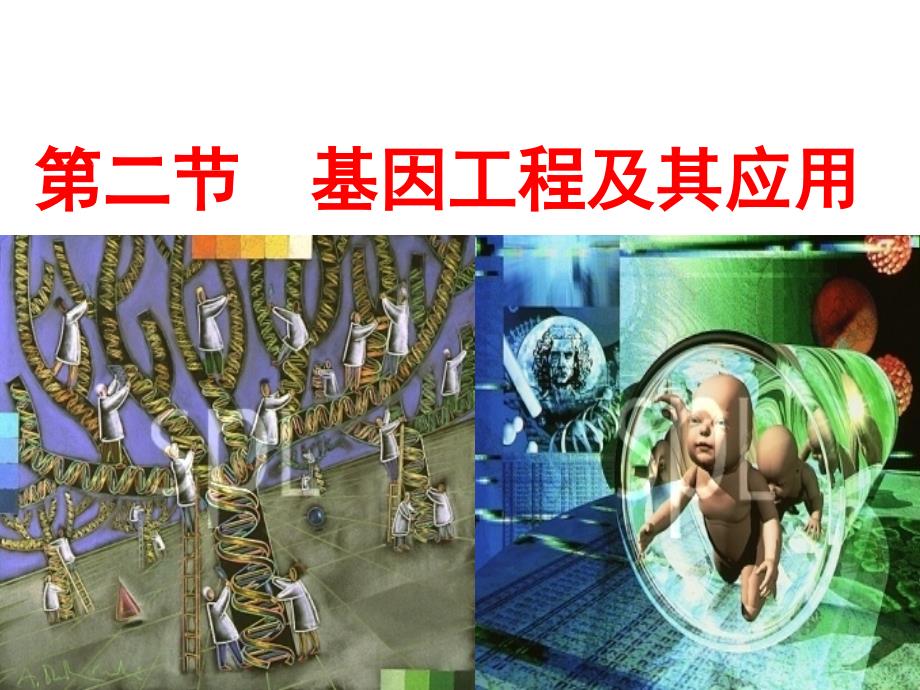 基因工程课件_第1页