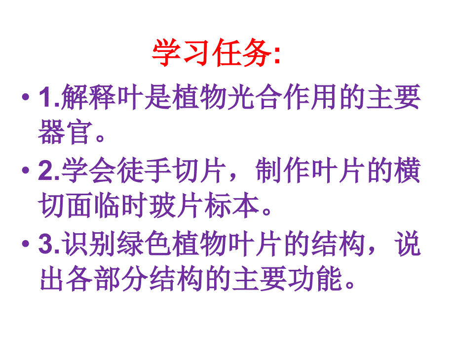 苏教版初中生物七上第3单元第六章第二节植物光和作用的场所课件_第4页