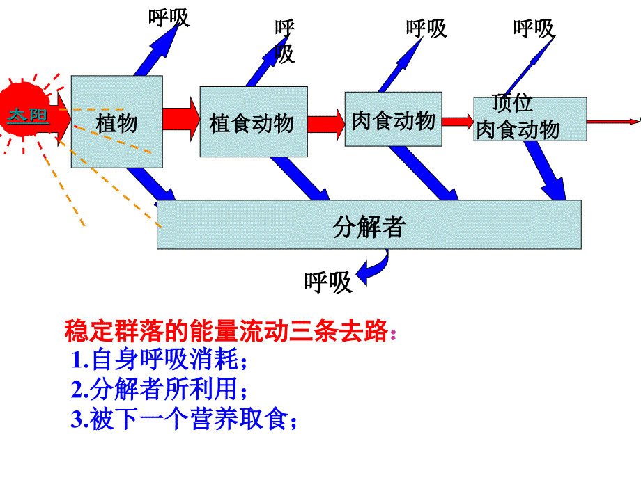 能流物质循环(1老师)_第3页