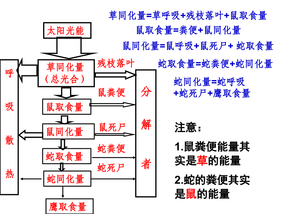 能流物质循环(1老师)_第4页