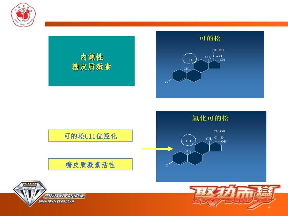 常用糖皮质激素类药物(课堂PPT)_第4页