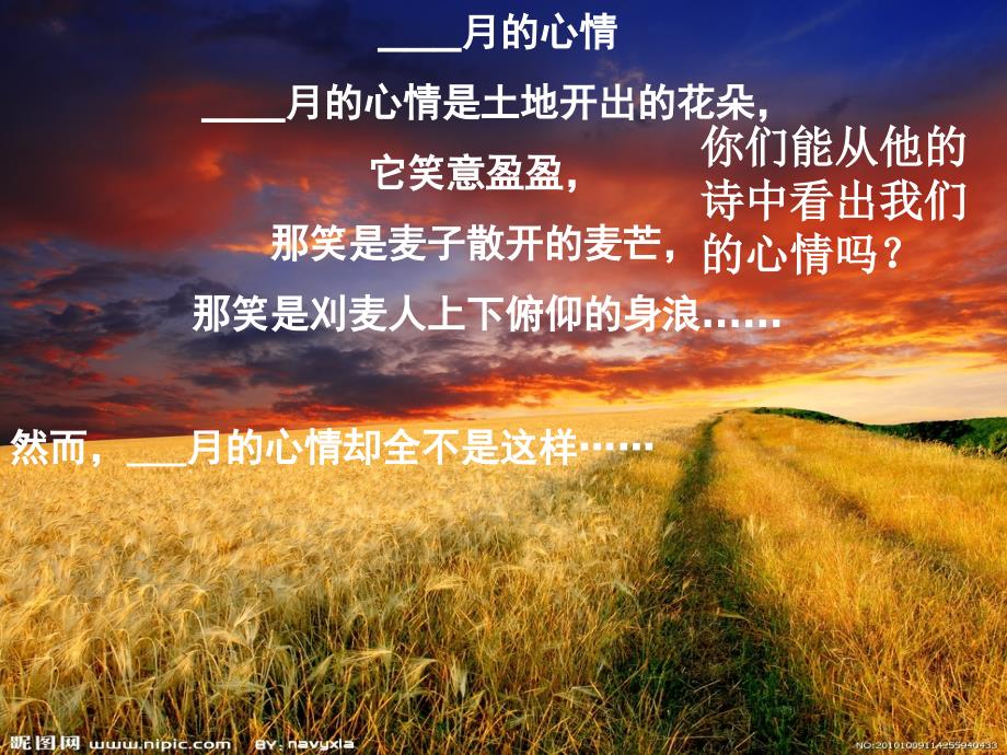 观刈麦公开课.ppt_第1页