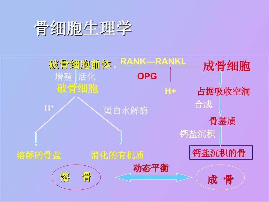 肺癌骨转移治疗_第3页