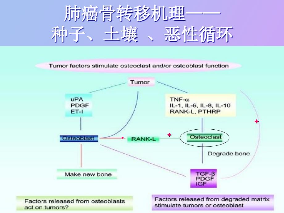 肺癌骨转移治疗_第4页