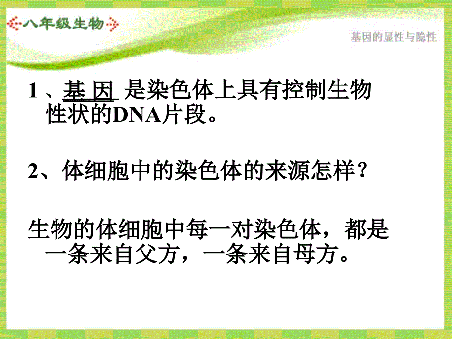 生物第七单元第二章第三节基因的显性和隐性课件人教版八年级下_第2页