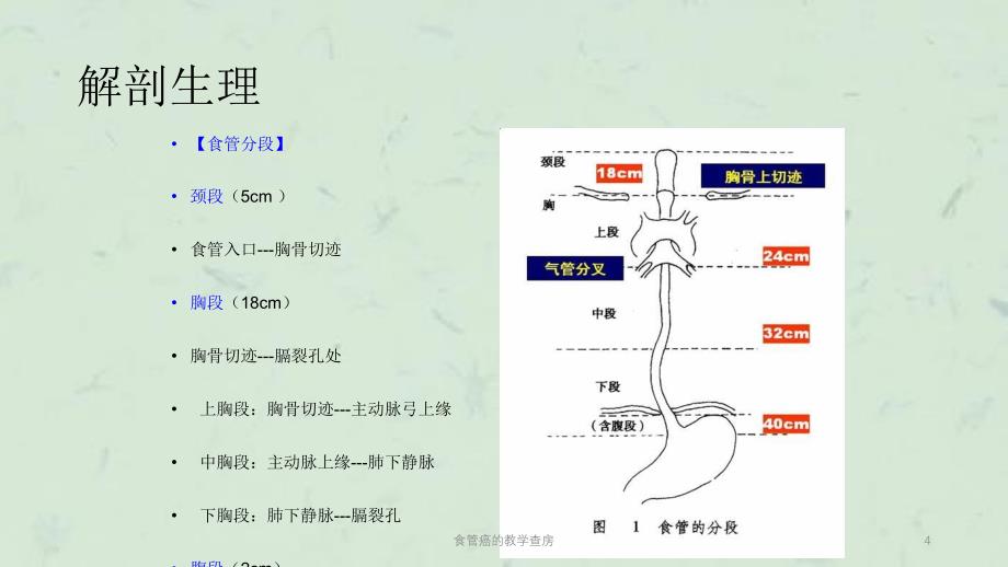 食管癌的教学查房课件_第4页