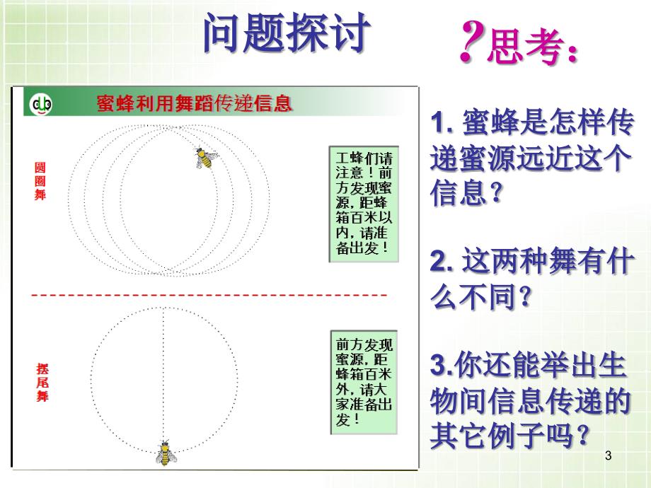 生态系统的信息传递⑵_第3页