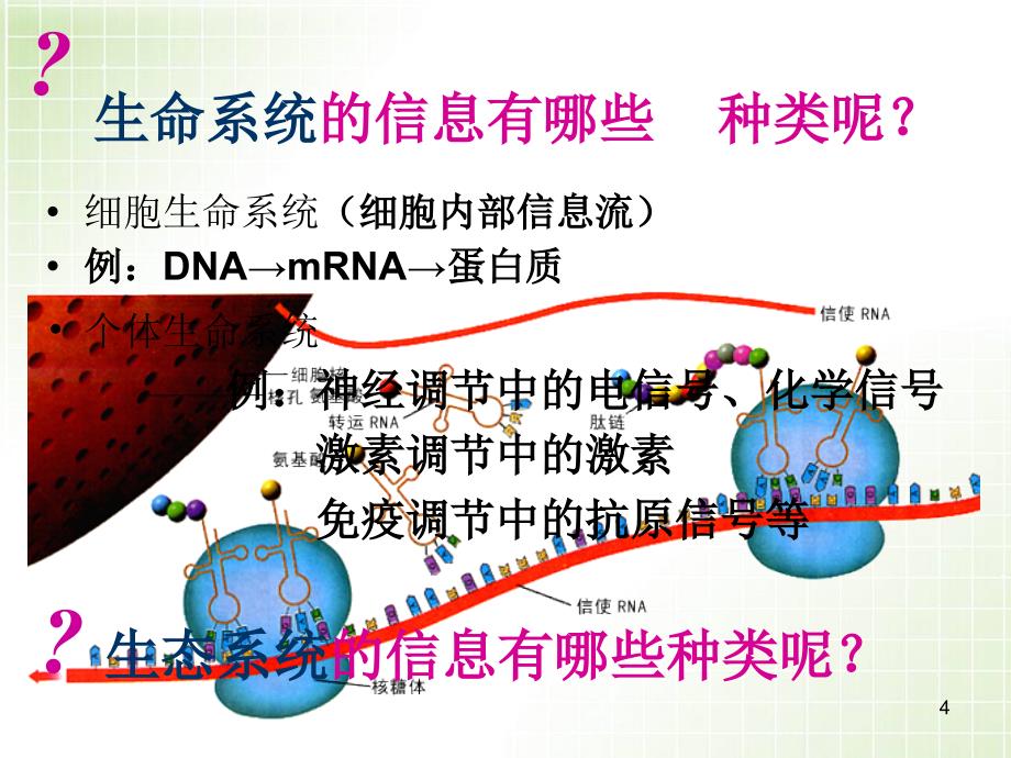 生态系统的信息传递⑵_第4页