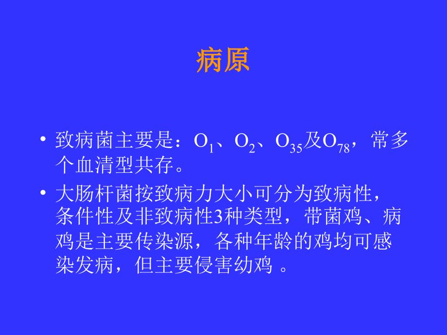 鸡大肠杆菌病教程PPT课件_第2页