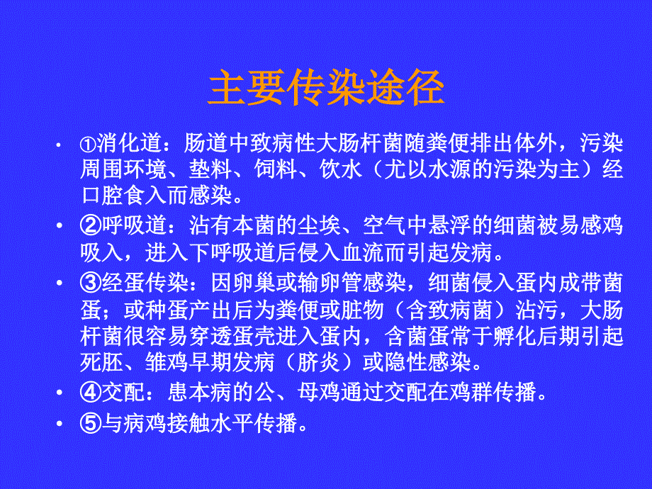 鸡大肠杆菌病教程PPT课件_第3页