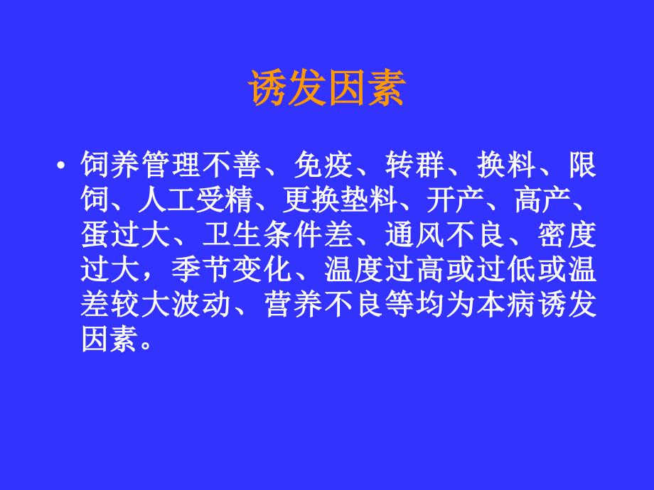 鸡大肠杆菌病教程PPT课件_第4页