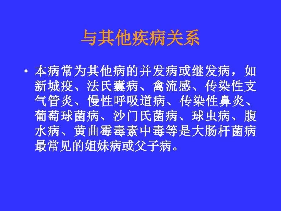 鸡大肠杆菌病教程PPT课件_第5页