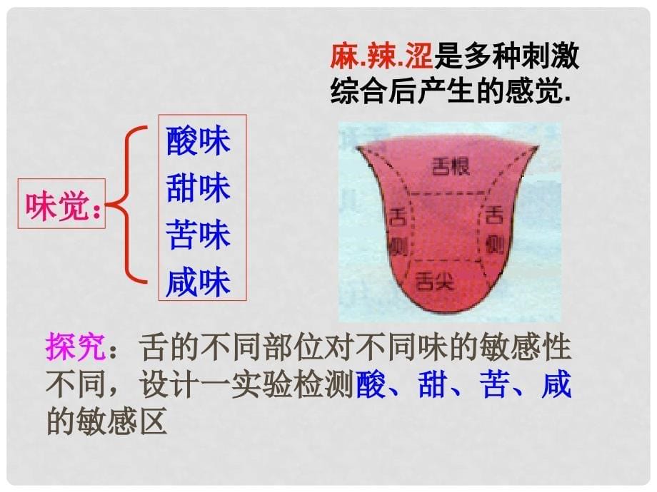 七年级科学下册 2.1感觉世界课件 浙教版_第5页