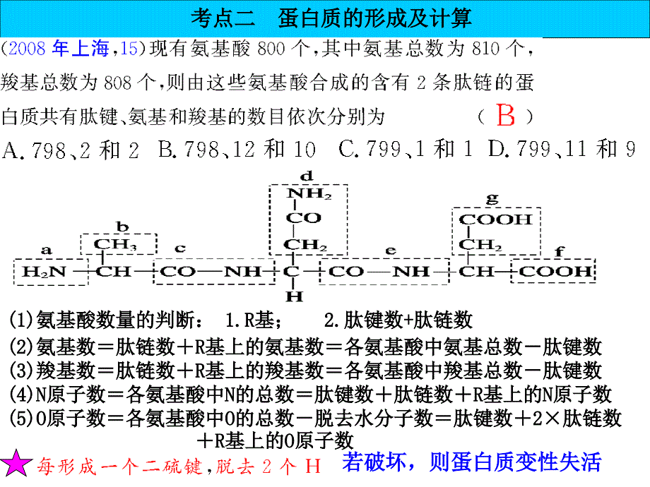 生命活动的主要承担者蛋白质陈芬制作_第3页