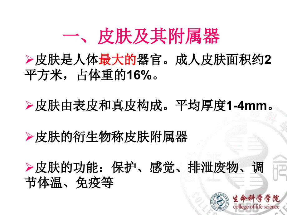 皮肤的结构ppt_第2页