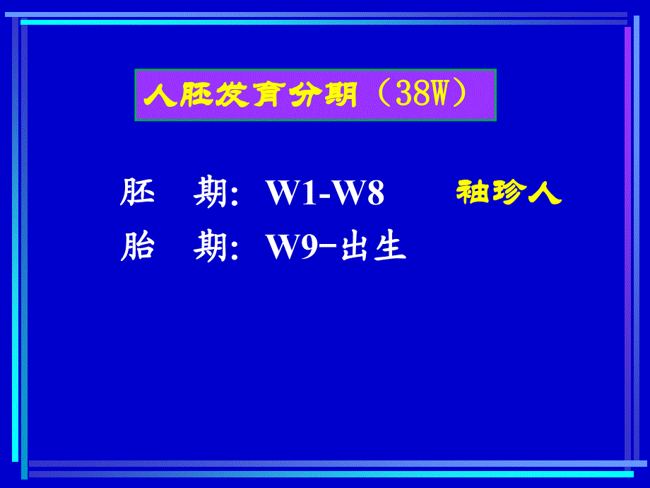 系统解剖学：胚胎总论(一）_第3页