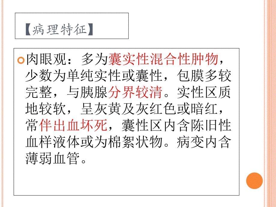 胰腺囊性肿瘤SPT、SCN、MCN.ppt_第5页