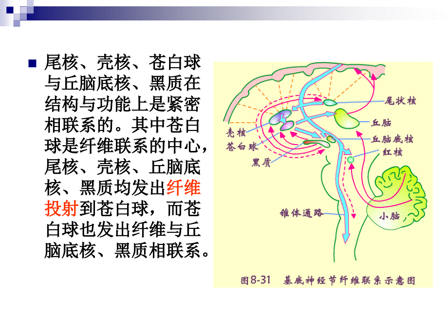 帕金森病目录PPT_第4页