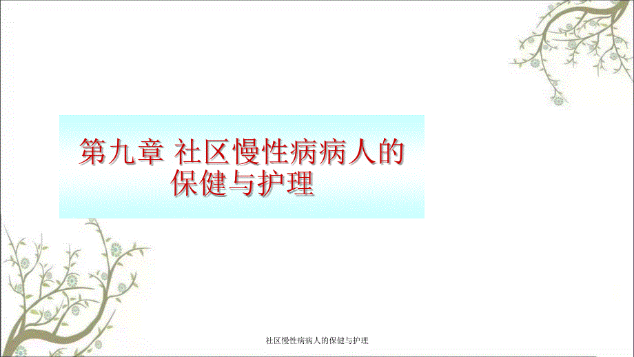 社区慢性病病人的保健与护理_第1页