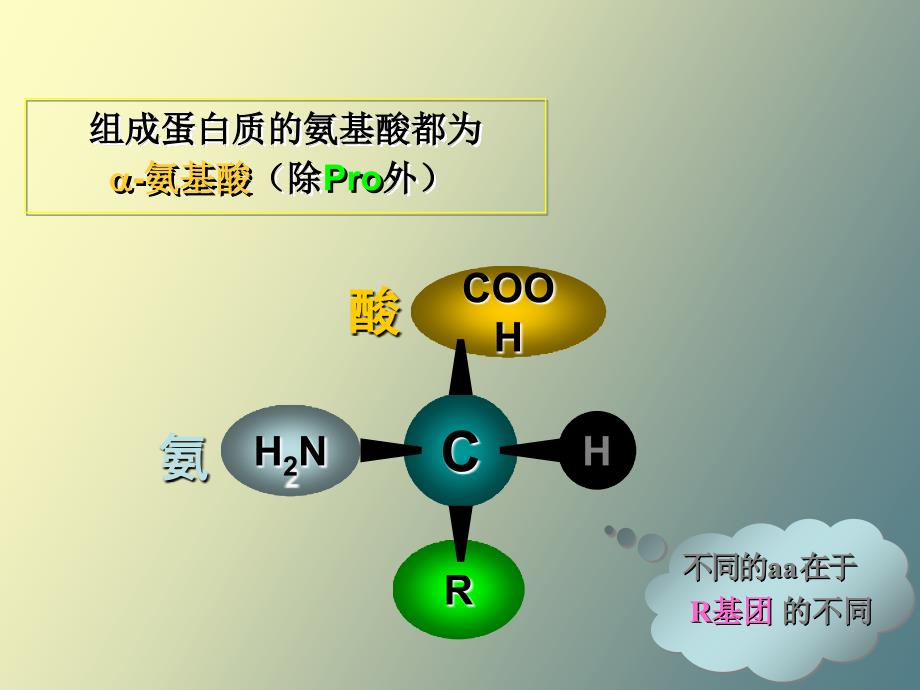 生皮蛋白质化学_第4页