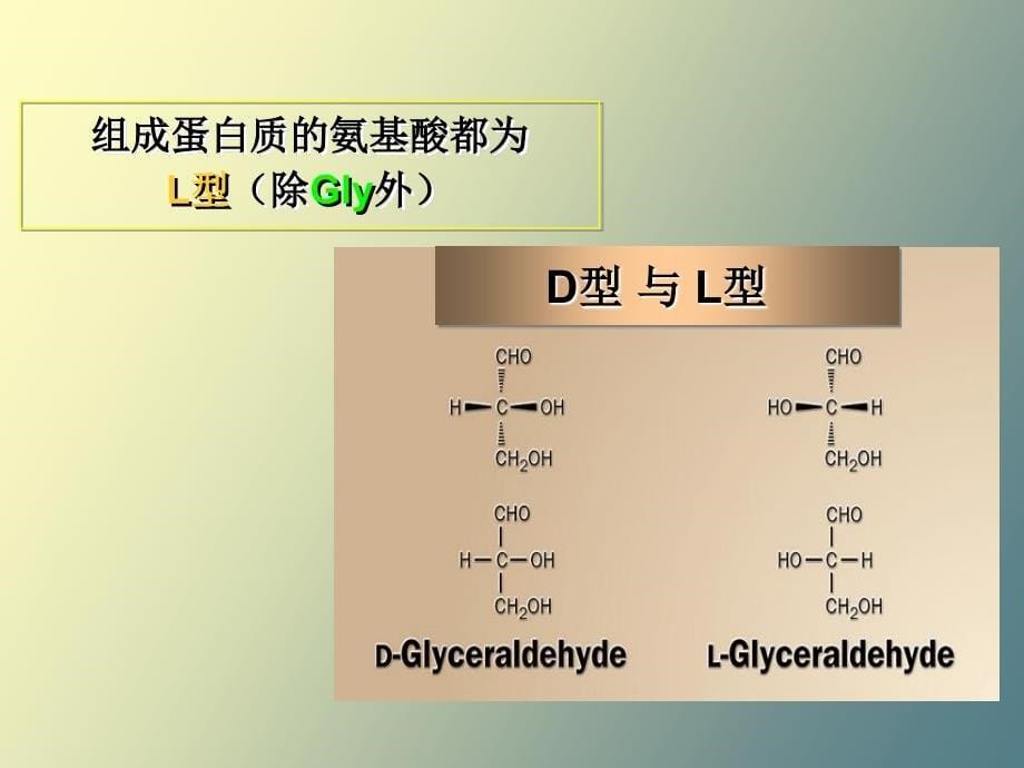 生皮蛋白质化学_第5页