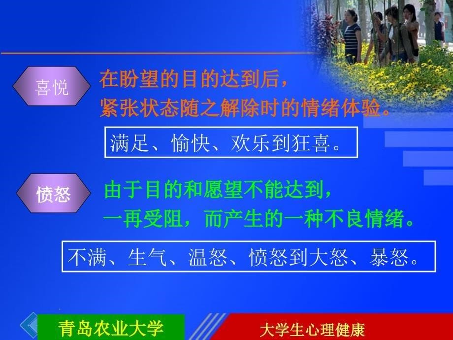 大学生良好情绪的培养.ppt_第5页