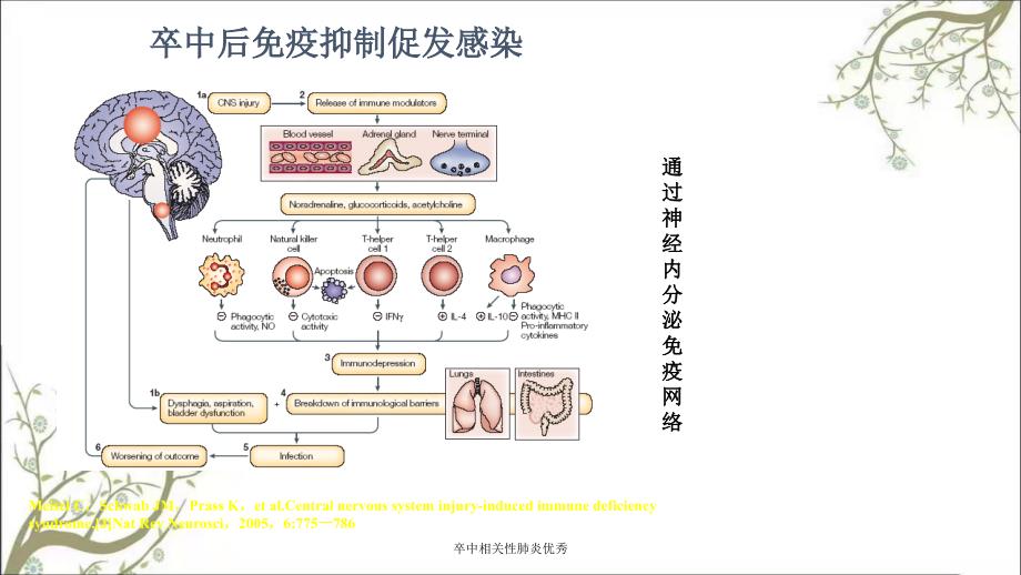 卒中相关性肺炎优秀_第4页