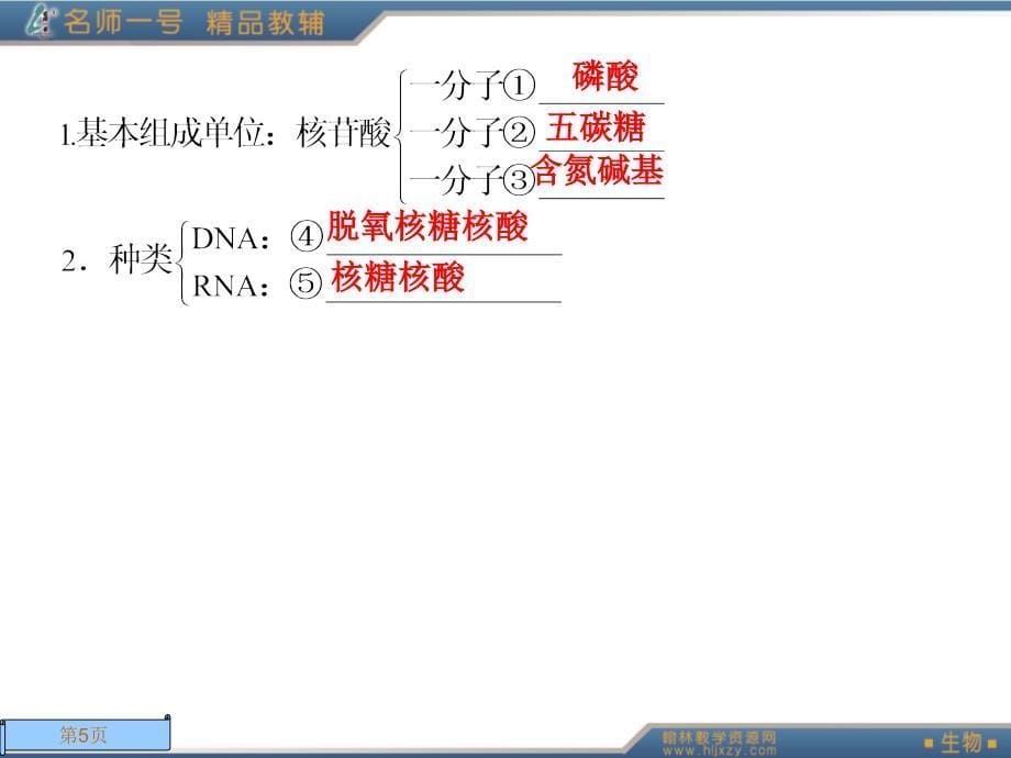 生物必修一第二章第三节_第5页