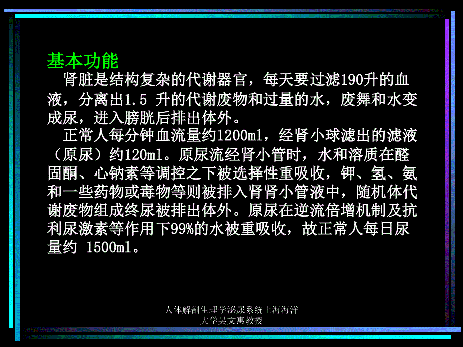 人体解剖生理学泌尿系统上海海洋大学吴文惠教授课件_第2页