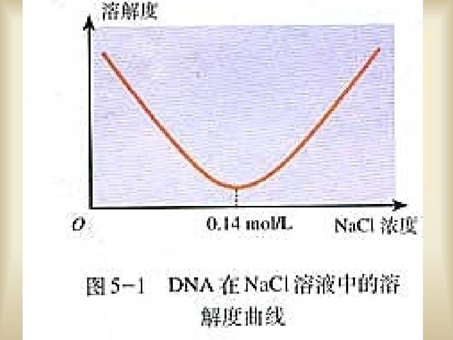 5.1DNA的粗提取与鉴定_第3页