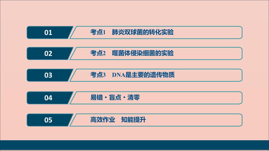 （选考）2021版新高考生物一轮复习 第六单元 遗传的物质基础 第17讲 DNA是主要的遗传物质课件 新人教版_第2页