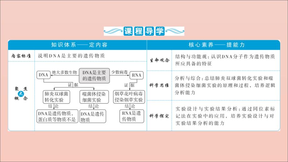 （选考）2021版新高考生物一轮复习 第六单元 遗传的物质基础 第17讲 DNA是主要的遗传物质课件 新人教版_第3页