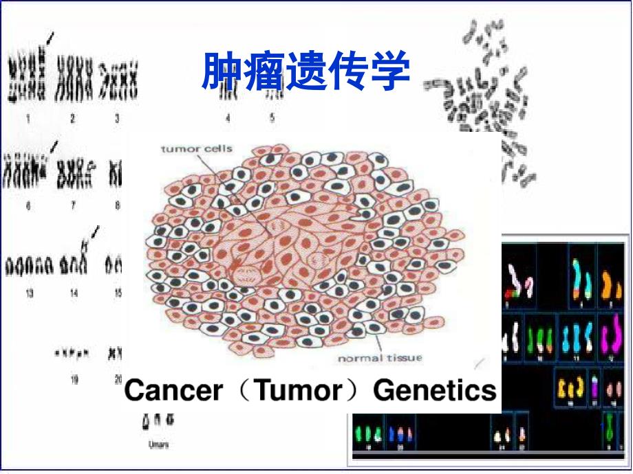 医学遗传学-肿瘤遗传学_第1页