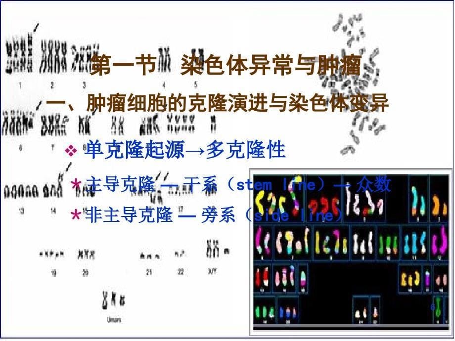 医学遗传学-肿瘤遗传学_第5页