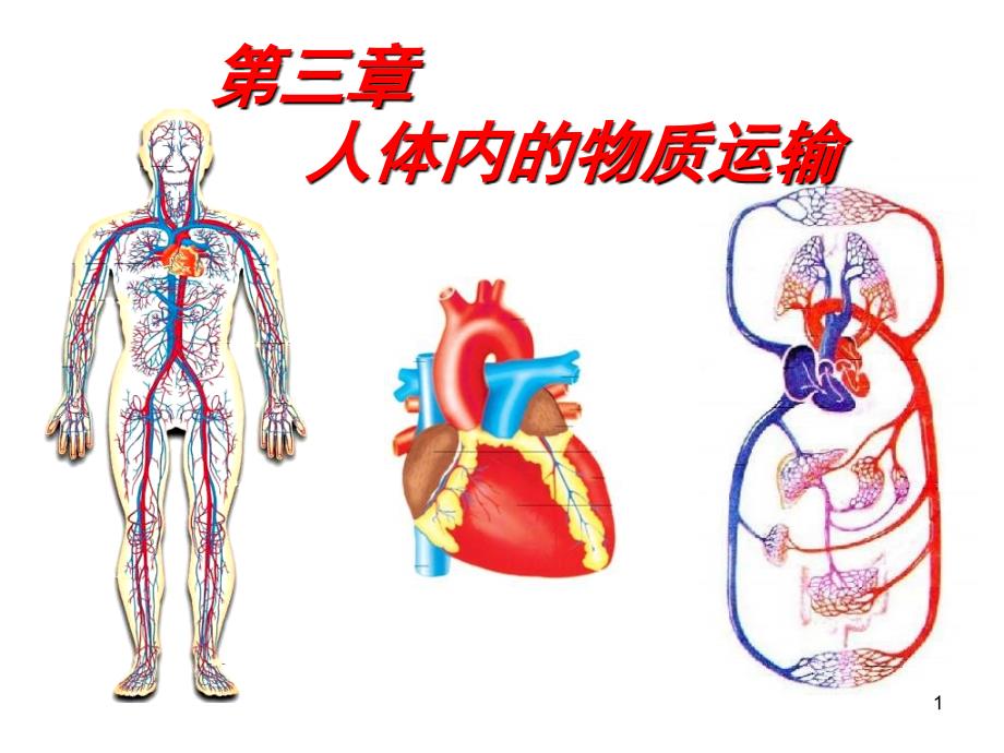 七年级生物人体内的物质运输课堂PPT_第1页