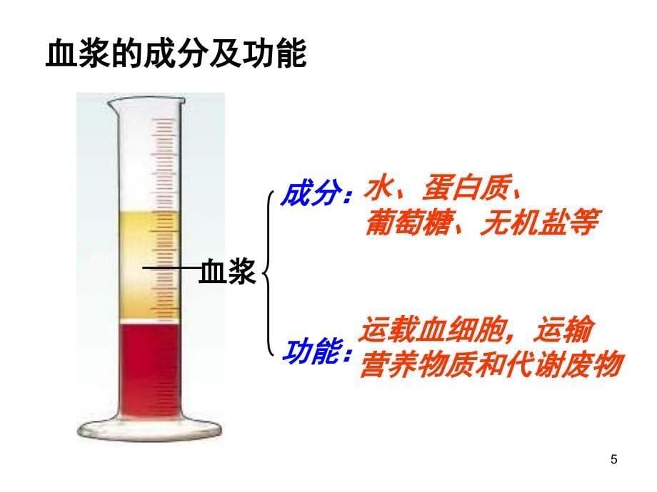 七年级生物人体内的物质运输课堂PPT_第5页